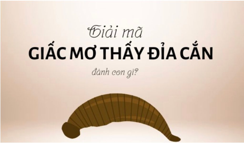 Mơ thấy đĩa cắn đánh con gì?