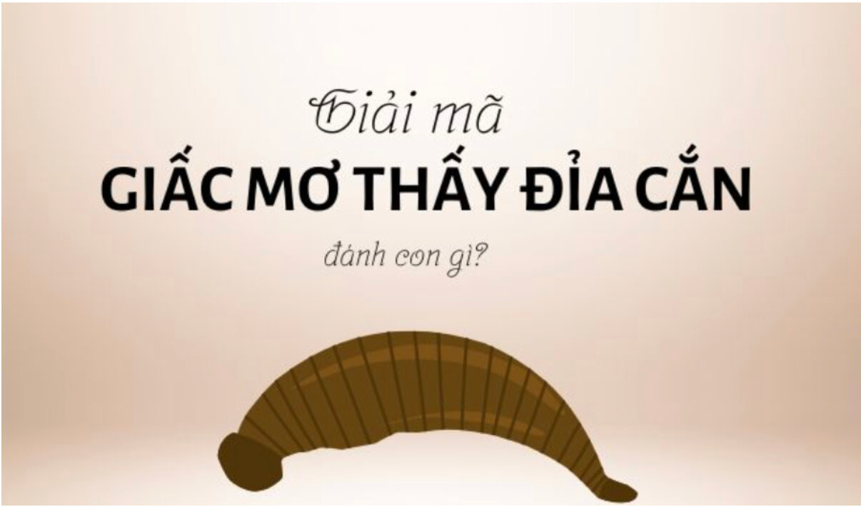 Mơ thấy đĩa cắn đánh con gì?