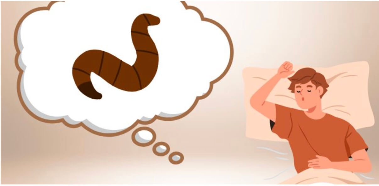 Lưu ý khi đánh lô đề theo giấc mơ bị đĩa cắn